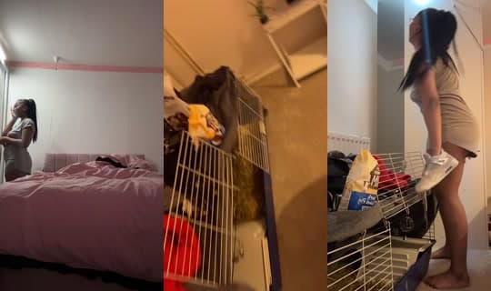 reeree.babyxox's Stream - Apr 13, 2026, 8:43 PM