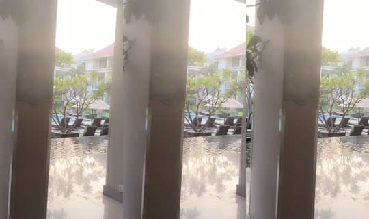 dearhal's Stream - Apr 15, 2026, 11:12 AM