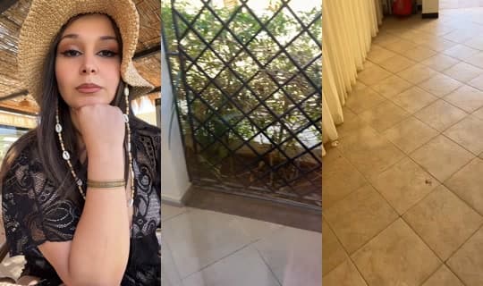 sandra_bnz's Stream - Apr 15, 2026, 3:29 PM