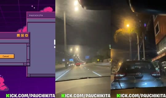 pauchikita's Stream - Apr 14, 2026, 12:47 AM