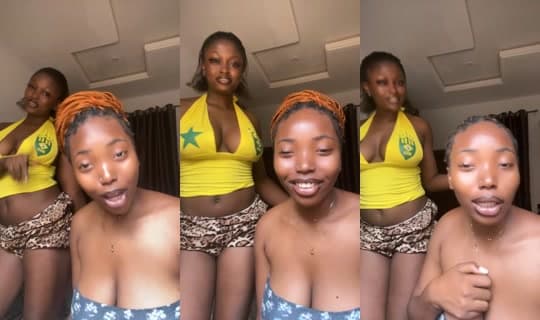 21213994's Stream - Apr 12, 2026, 10:33 AM