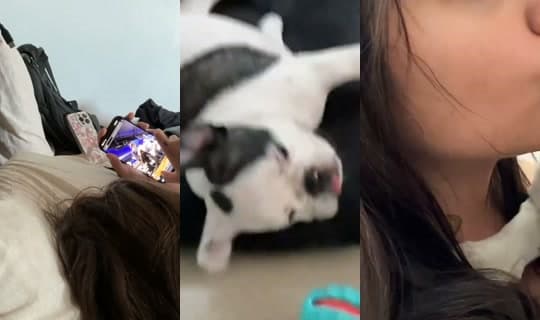 diabladota's Stream - Apr 14, 2026, 7:02 PM