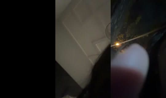 sofiaisvegasssss's Stream - Apr 15, 2026, 5:55 AM