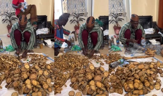 dambal_tv's Stream - Apr 10, 2026, 2:30 PM