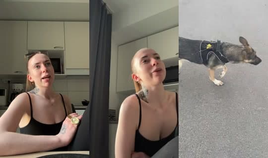 lilbsu's Stream - Apr 14, 2026, 2:44 PM