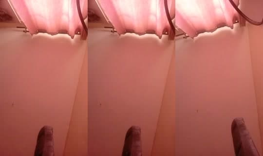 22308416's Stream - Apr 15, 2026, 6:56 AM