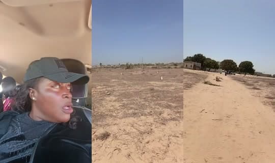 dabax_imo_sope_naby's Stream - Apr 15, 2026, 11:29 AM