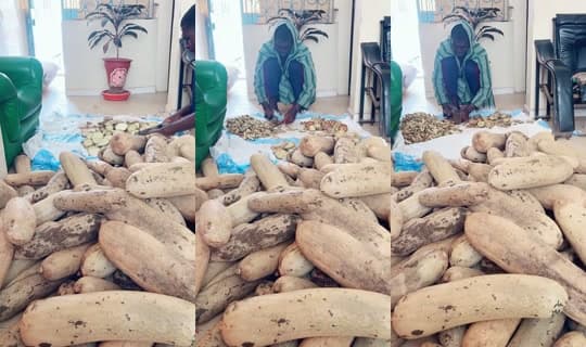 dambal_tv's Stream - Apr 14, 2026, 1:44 PM