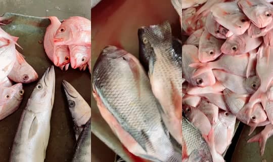 coumba.gn24's Stream - Apr 14, 2026, 10:46 AM