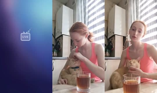 29764093's Stream - Apr 13, 2026, 11:25 AM