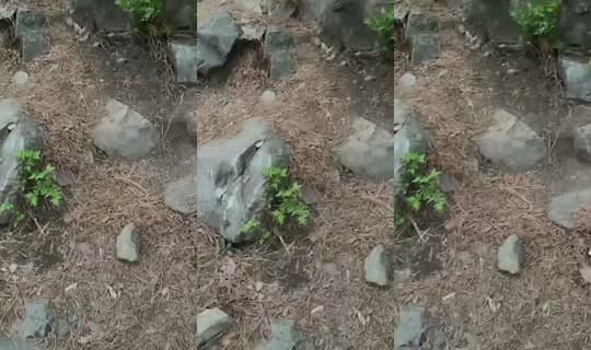 1004ysus's Stream - Apr 14, 2026, 8:49 PM