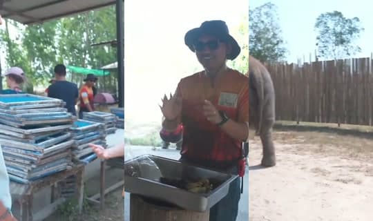 syanne's Stream - Apr 15, 2026, 7:38 AM