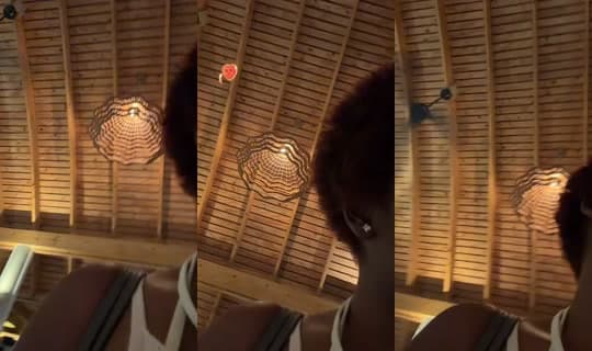 realjadrolita's Stream - Apr 15, 2026, 3:35 PM