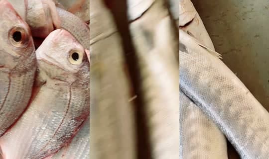 coumba.gn24's Stream - Apr 14, 2026, 12:12 PM