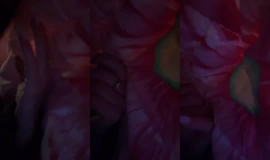 luiizzzzaaaa's Stream - Apr 11, 2026, 10:09 AM