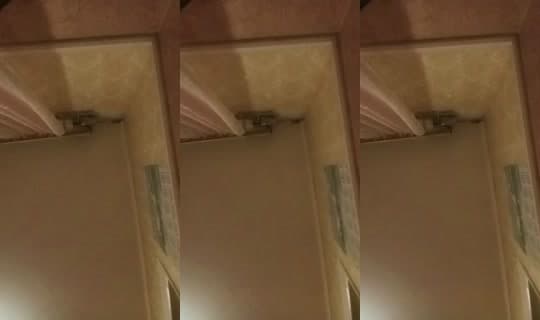 19935138's Stream - Apr 11, 2026, 10:18 PM