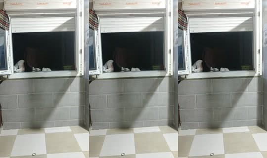 tiziri.dania's Stream - Apr 15, 2026, 7:20 PM