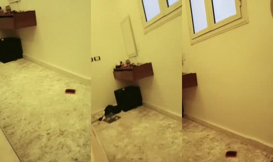 loma2901's Stream - Apr 14, 2026, 4:53 AM