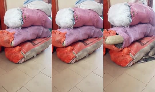 dambal_tv's Stream - Apr 12, 2026, 12:22 PM